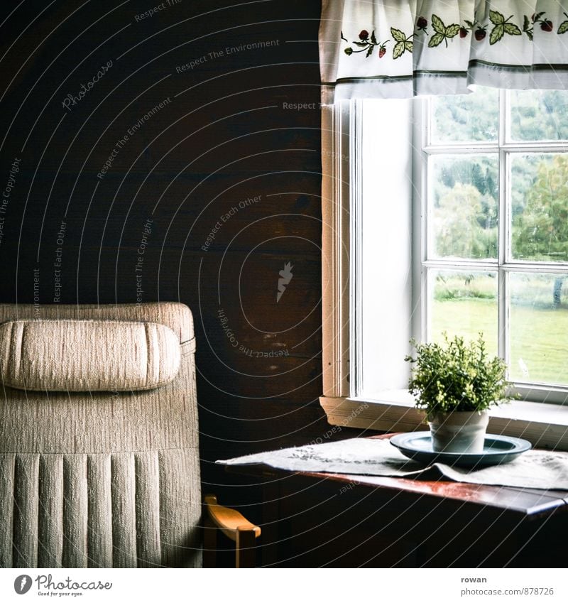 sessel Häusliches Leben Wohnung Haus einrichten Dekoration & Verzierung Möbel Sessel Fenster Erholung gemütlich Pause Zimmerpflanze Aussicht Fensterblick