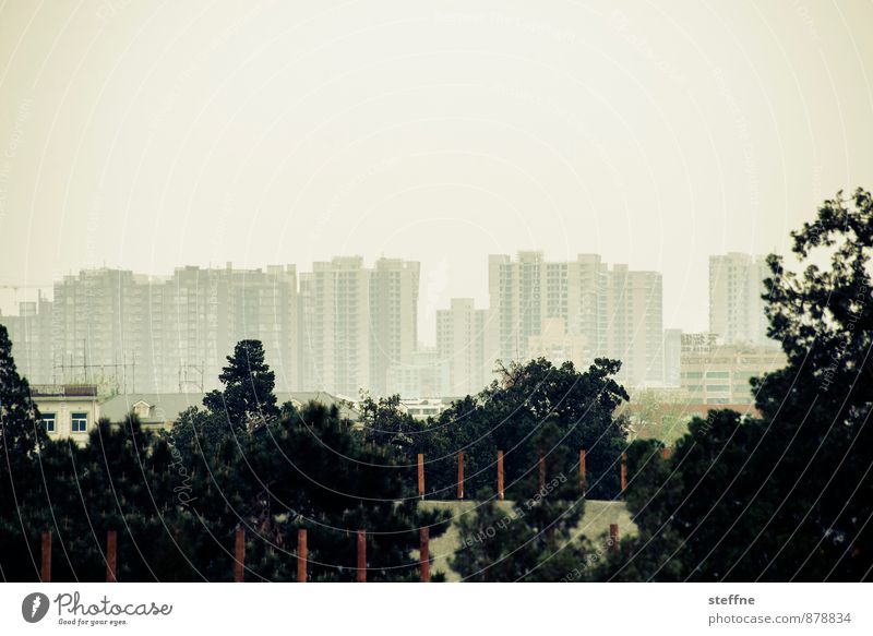 naturbanes Peking Landschaft Baum China Skyline überbevölkert Haus Stadt Smog Kontrast Außenaufnahme Textfreiraum oben Panorama (Aussicht)