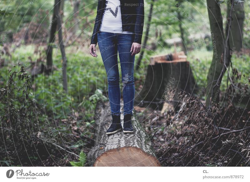 stumpf ist trumpf Mensch feminin Junge Frau Jugendliche Erwachsene Leben 1 18-30 Jahre Umwelt Natur Landschaft Baum Wald Mode T-Shirt Jeanshose Jacke Lederjacke