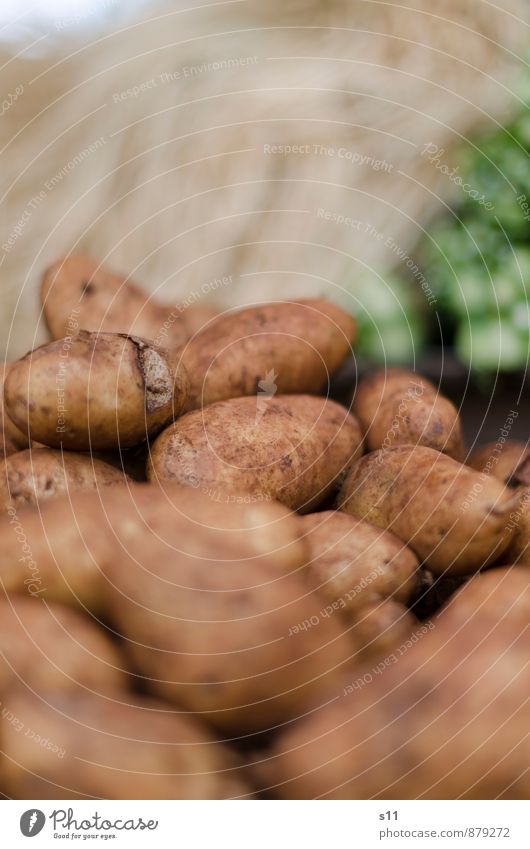 frische Kartoffeln Lebensmittel Gemüse Ernährung Bioprodukte Vegetarische Ernährung Natur dreckig authentisch exotisch Gesundheit lecker rund braun