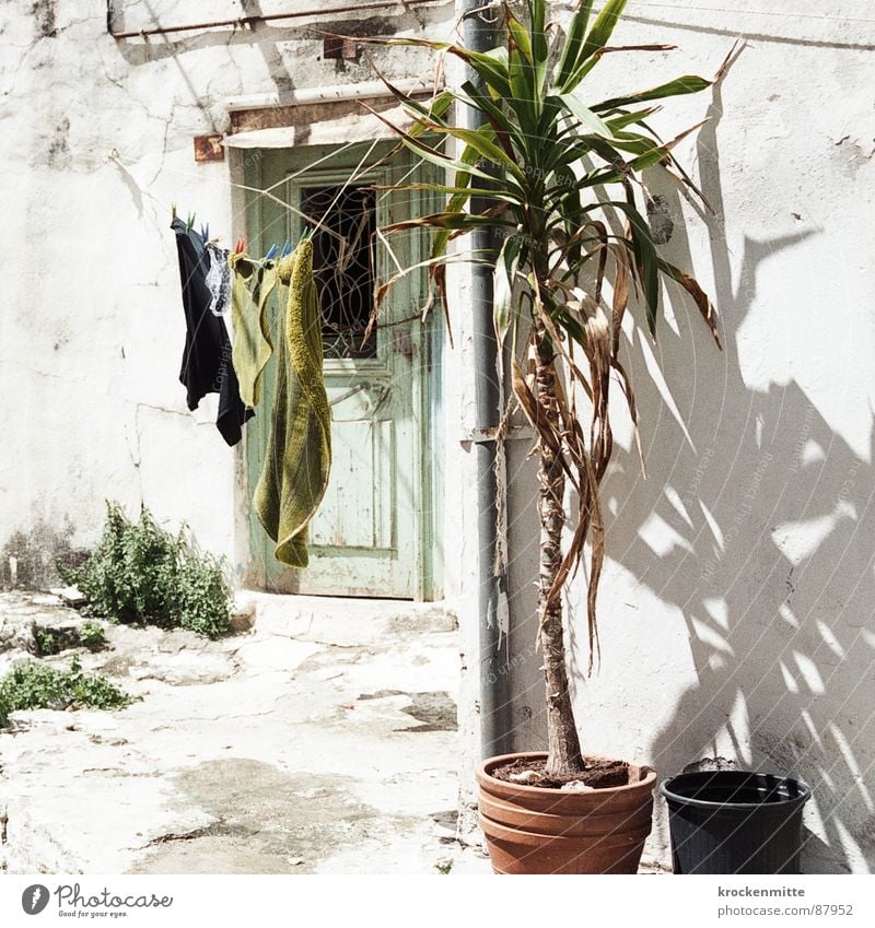 Griechische Lein Kreta Wäscheleine Griechenland Palme Klammer Topf trocknen aufhängen Pflanze Tür Eingang heiß Schönes Wetter Ferien & Urlaub & Reisen
