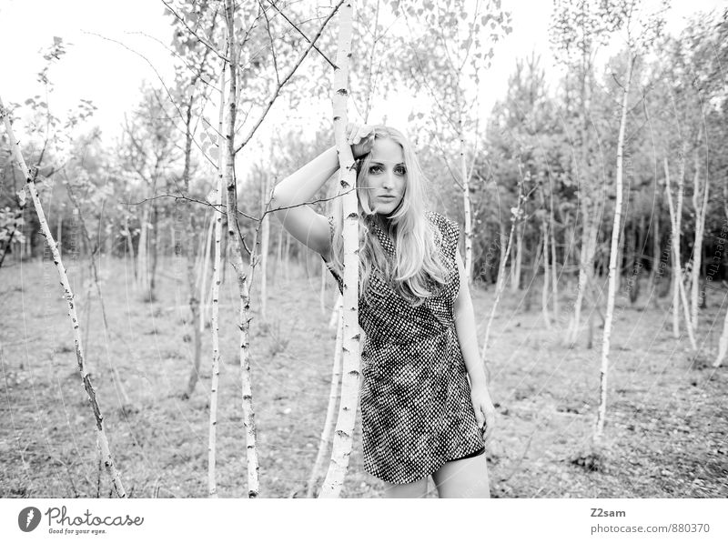 Fall 2014 Lifestyle elegant schön feminin Junge Frau Jugendliche 18-30 Jahre Erwachsene Natur Landschaft Herbst Baum Sträucher Wald Mode Kleid Piercing blond