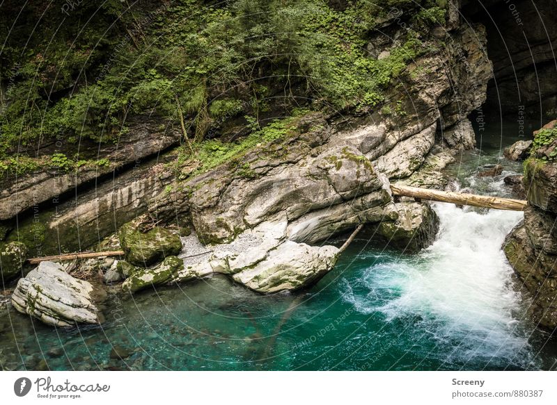 In der Klamm #2 Ferien & Urlaub & Reisen Tourismus Ausflug Natur Landschaft Pflanze Wasser Sommer Sträucher Moos Felsen Alpen Berge u. Gebirge Allgäuer Alpen