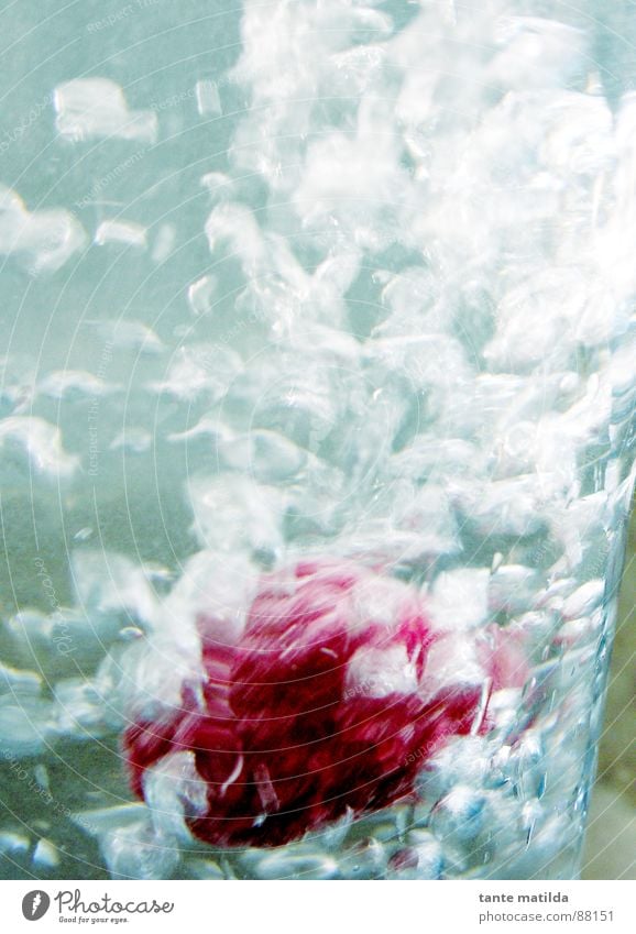 Himbeere im Glas Himbeeren frisch rot Wasserhahn Frucht Mineralwasser blau