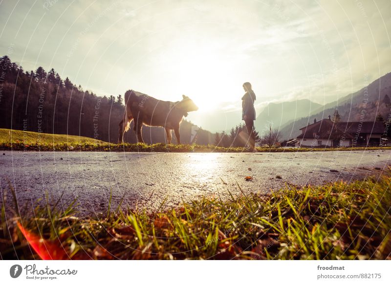 Gipfeltreffen Mensch feminin Junge Frau Jugendliche Erwachsene 1 Natur Landschaft Sonne Herbst Schönes Wetter Hügel Alpen Berge u. Gebirge Straße Tier Nutztier
