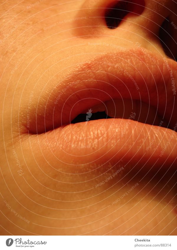 teilhaftig Lippen Sommersprossen aufmachen Küssen Frau schön Gesicht Mund Nase Detailaufnahme Schatten Lust fordern