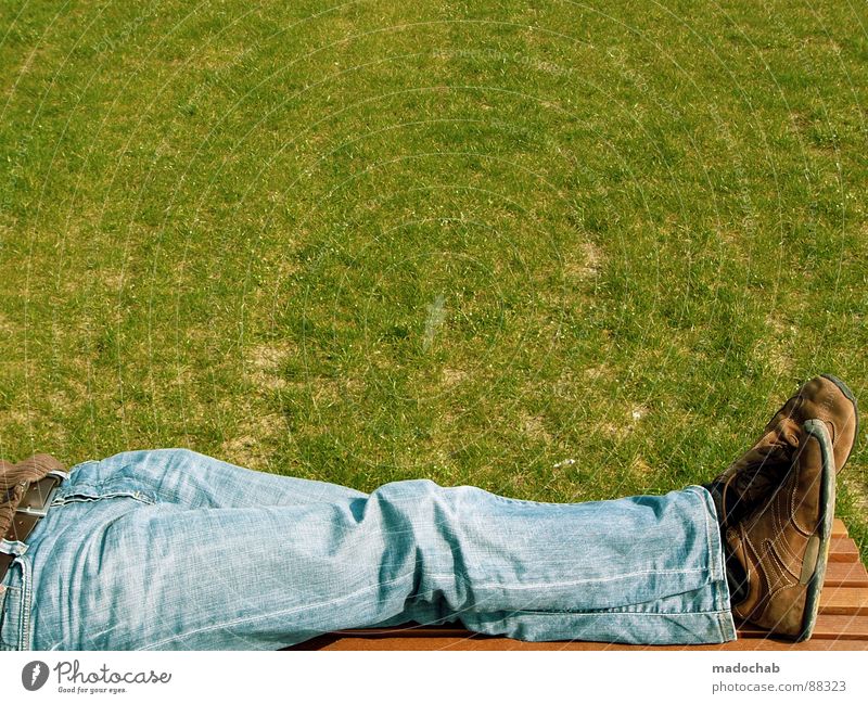 FOTOWETTER mehrfarbig Mann sitzen Stil lernfähig Wiese Gras grün Park Sommer Pause Herr Mensch Leben Erholung Ferien & Urlaub & Reisen genießen Hose Schuhe