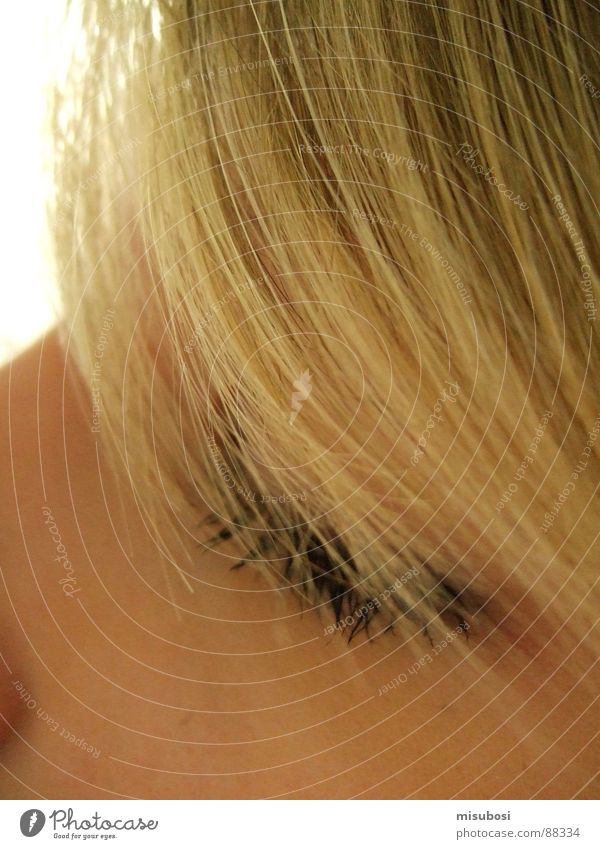 Blondi Frau blond Haarsträhne Gesicht Auge Haare & Frisuren