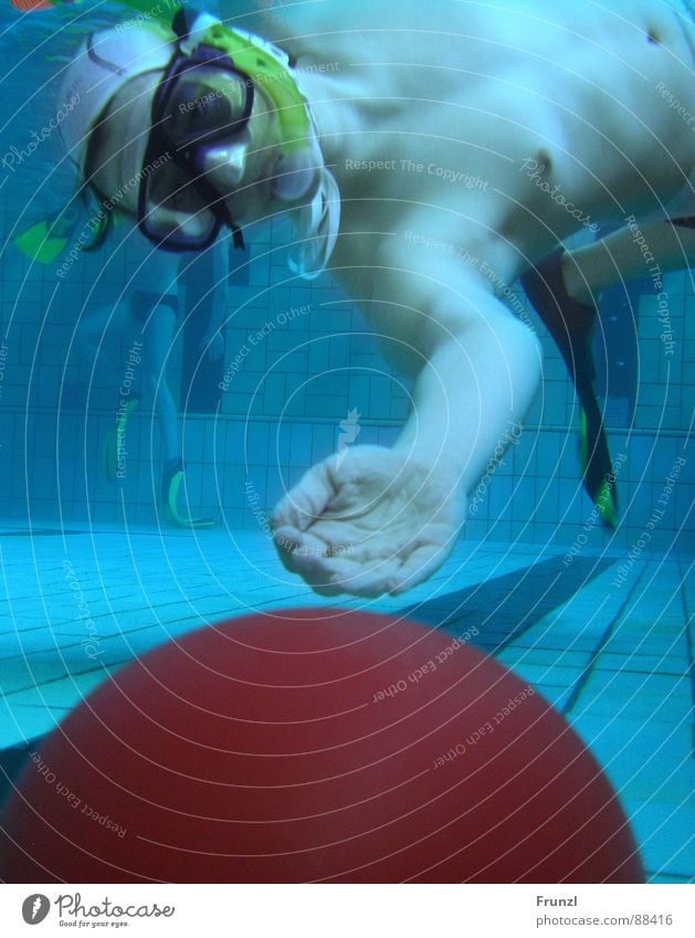 Frosch holt Kugel Taucher Schwimmbad nass Sport Spielen Unterwasserrugby Wasser blau Ball