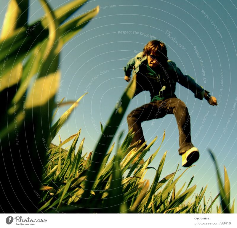 Spring ins Feld! hüpfen Frühling Wiese Gras grün Stil Sonnenuntergang Körperhaltung Halm Froschperspektive Sonnenstrahlen Kick Kampfsport Mann Kerl Gefühle