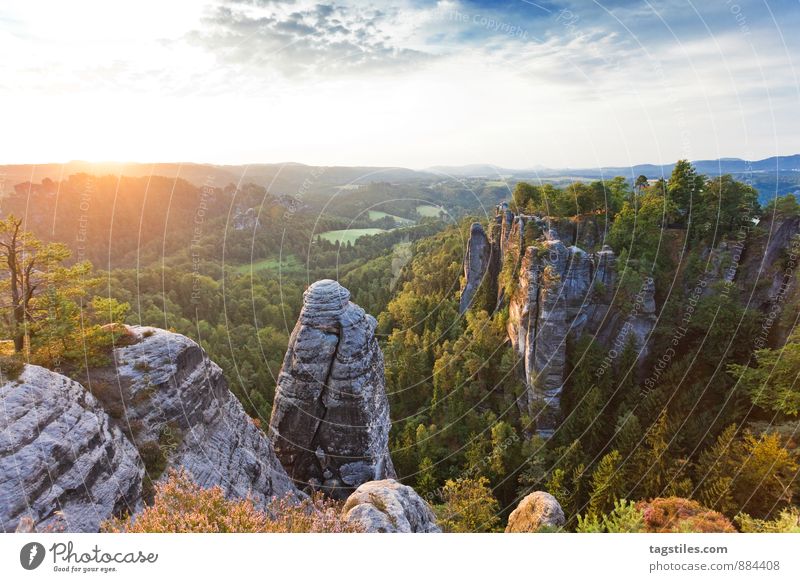 NATUR II Elbsandsteingebirge Sonnenaufgang Felsen Berge u. Gebirge Dresden Rathen Sachsen Aussicht Attraktion Tourismus Sehenswürdigkeit