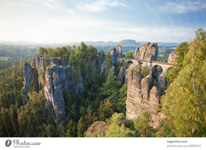 GUTEN MORGEN! Bastei Elbsandsteingebirge Sonnenaufgang Brücke Felsen Berge u. Gebirge Dresden Rathen Sachsen Aussicht Attraktion Tourismus Sehenswürdigkeit