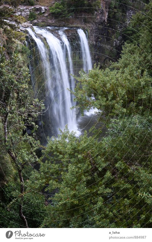 water falls Umwelt Natur Pflanze Urelemente Wasser Wassertropfen Sommer Baum Sträucher Grünpflanze Wildpflanze Urwald Felsen Schlucht Wasserfall nass natürlich