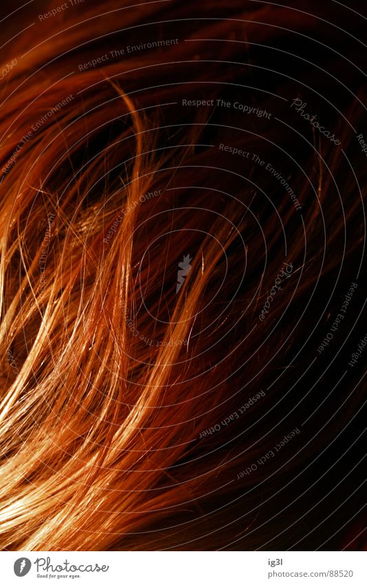 der HAARte kern #2 Haarsträhne dünn schmal lang Muster Kopfbedeckung Fell Physik schön Haarwaschmittel Sauberkeit Reinigen groß Lichtpunkt glänzend rot gelb