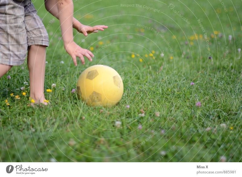 Anpfiff Freizeit & Hobby Spielen Kinderspiel Sport Ballsport Sportler Fußball Mensch Junge Kindheit Arme Beine 1 3-8 Jahre 8-13 Jahre Wiese laufen Gefühle