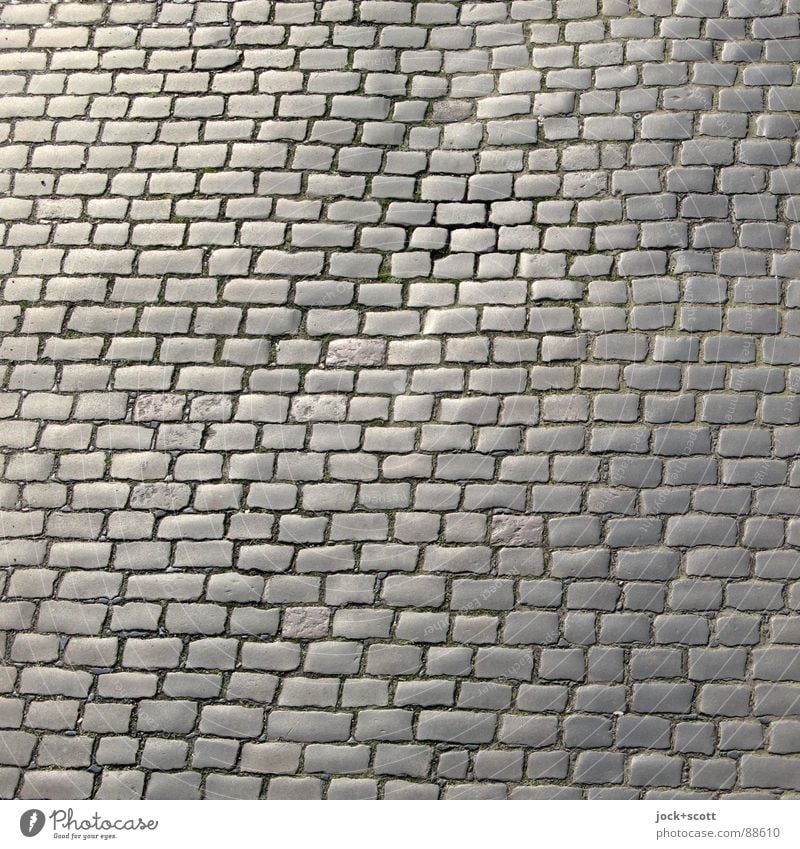 Kopfstein im Quadrat Verkehrswege Straße historisch unten viele grau authentisch Oberfläche Deformation Untergrund Fuge Rechteck wellig dreidimensional Reihe