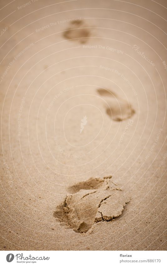 spuren im sand Ferien & Urlaub & Reisen Ausflug Abenteuer Ferne Freiheit Sommer Sommerurlaub Strand Meer Joggen wandern Natur Urelemente Sand Bewegung entdecken