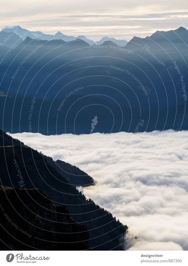 Milchreis zum Frühstück Berge u. Gebirge wandern Umwelt Luft Wolken Klima Schönes Wetter Nebel Wald Alpen Tal Gipfel Österreich atmen ästhetisch hoch schön