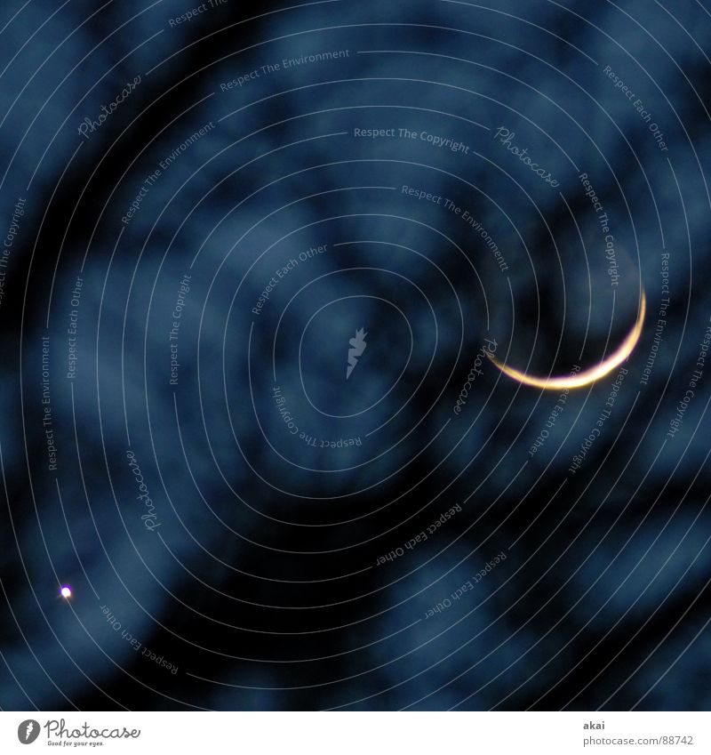 Venus und Mond Planet Himmelskörper & Weltall Nacht Sichelmond Sonnenuntergang Baumstamm Morgen Abend ruhig Baumstruktur Satellit Halbmond Langzeitbelichtung