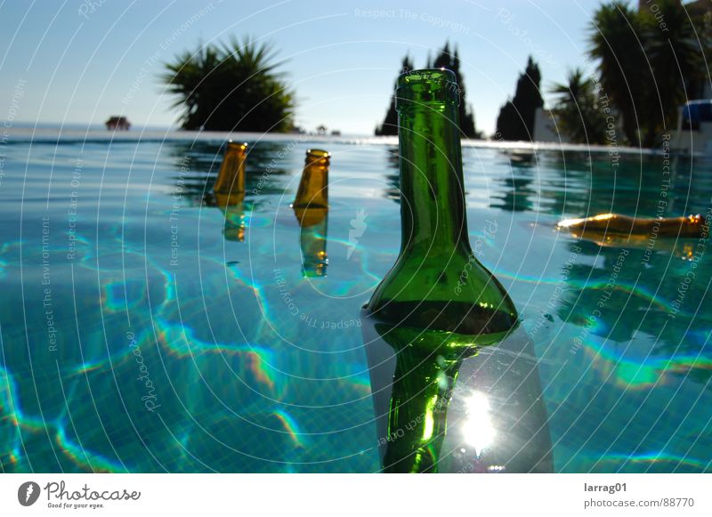 Dinge im Pool 2 Palme Bierflasche Weinflasche türkis grün braun Sommer Sonne strahlend Im Wasser treiben mehrfarbig Stillleben Schweben Strandgut Schwimmbad