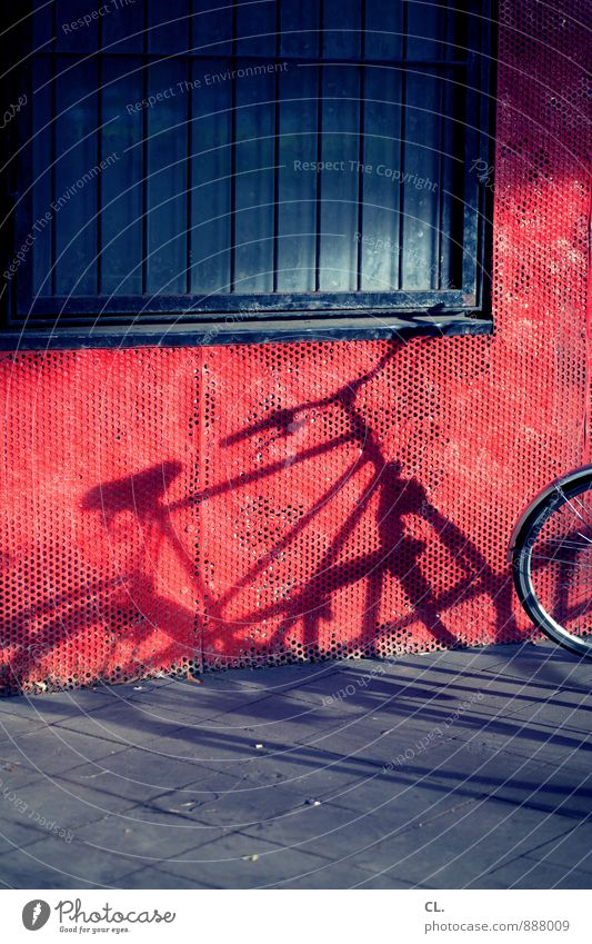 fahrräder sind schöner Schönes Wetter Mauer Wand Fenster Verkehr Fahrradfahren Straße Wege & Pfade Gitter Fahrradlenker Fahrradsattel Fahrradreifen blau rot