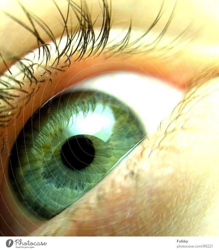 Augenblick Wimpern Pupille grün Aussehen Mensch schön Makroaufnahme Nahaufnahme Gesicht eye face