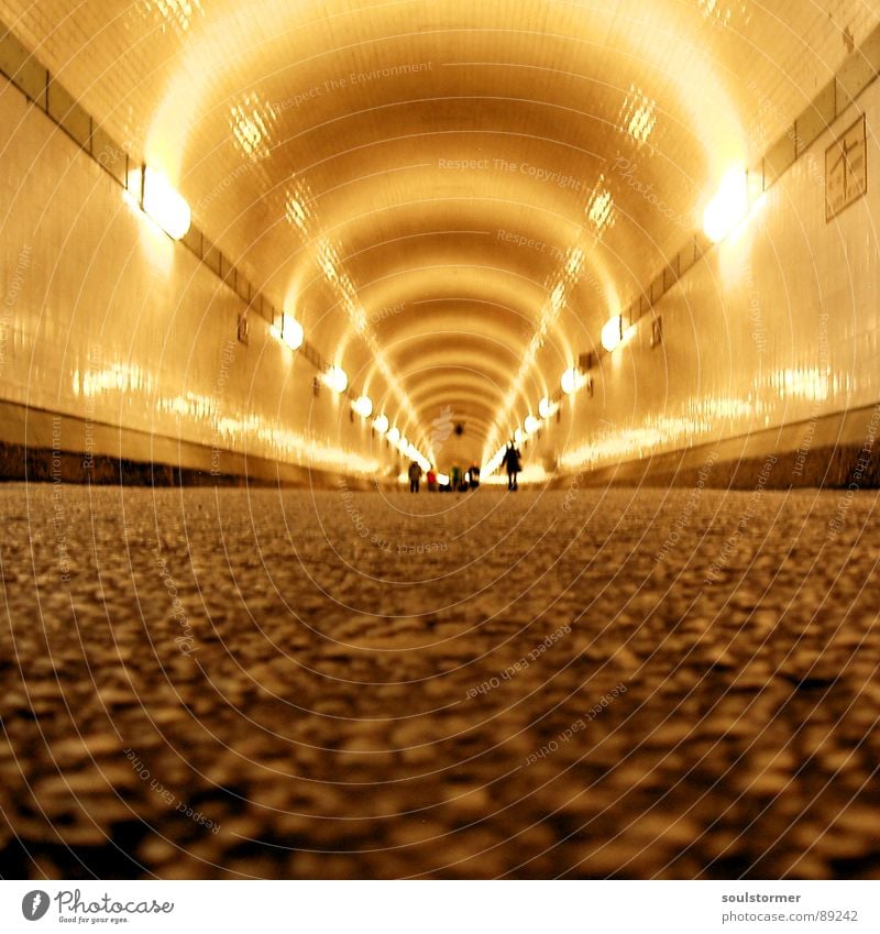 Tunnelblick Teer tief lang Lichtspiel Froschperspektive Fußgänger Neonlicht Platzangst gelb grau Wand eng Reflexion & Spiegelung rund Stadt Hamburg Mensch Elbe