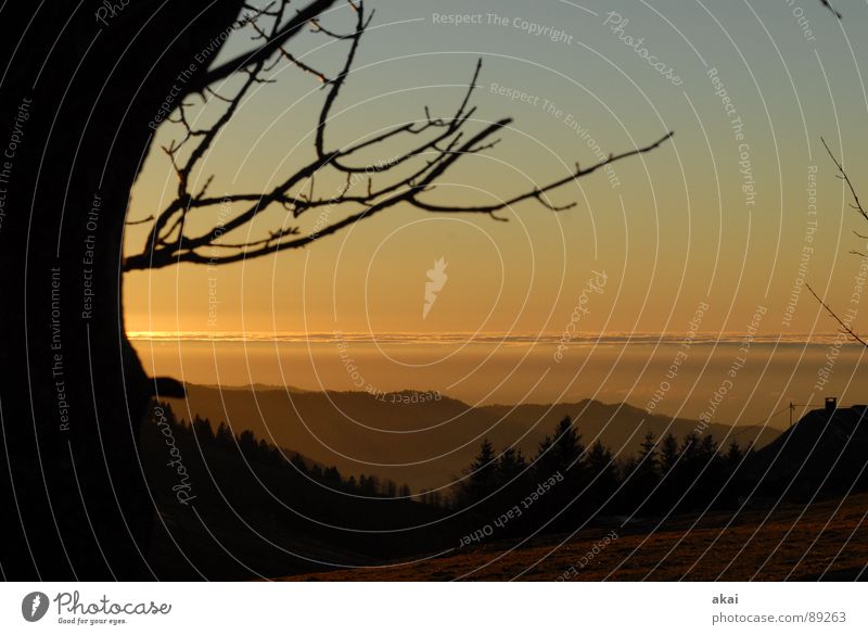 Inversion romantica Sonnenuntergang heimelig Abend Bronze Gefühle Schwärmerei orange Südbaden Schauinsland bernsteinfarben Kontrast Planet Sonnenbad schön