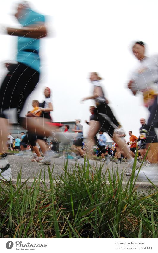 laufende Menschen aus der Sicht eines Wurms Joggen Geschwindigkeit Schuhe Turnschuh Ausdauer Gras Bewegungsunschärfe Menschengruppe Fitness rennen Beine
