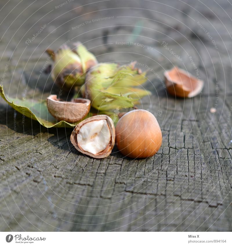 Haselnüsse aus der Türkei Lebensmittel Ernährung Bioprodukte Natur Herbst Blatt Wald Holz Gesundheit lecker braun Haselnuss Nuss Nussschale Haselnusskern