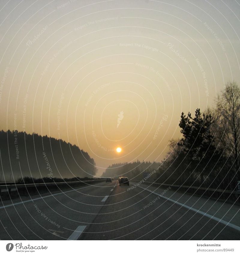 Sonnenaufgang Autobahn Verkehr Baum Morgen fahren Wald Verlauf Schweiz Mittellinie Leitplanke Arbeitsweg Fahrzeug PKW Sonnenstrahlen Geschwindigkeit Physik
