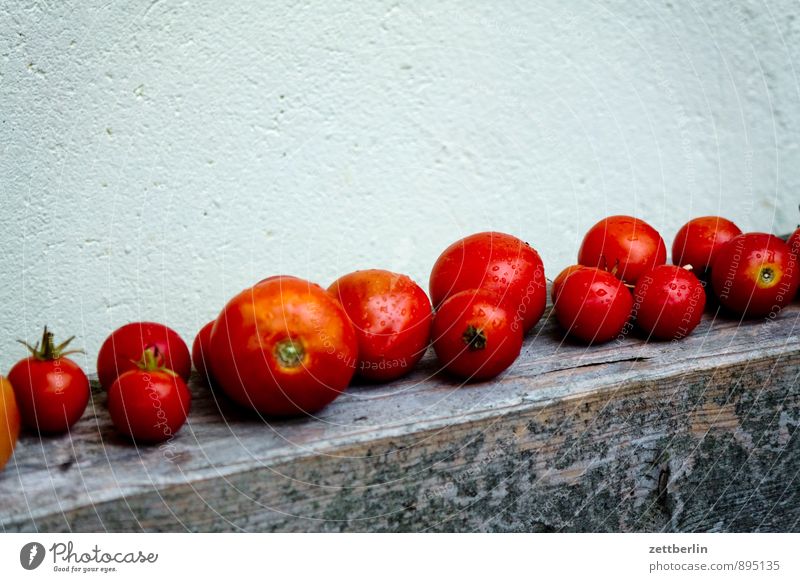 Tomaten Reihe Ernte Erntedankfest liegen Lager gelagert Menschenmenge Garten Schrebergarten Ernährung Gesunde Ernährung Speise Essen Foodfotografie Vitamin