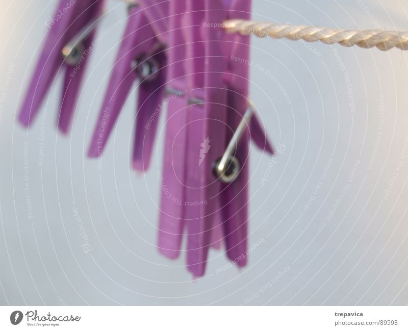 klammer Wäscheklammern aufhängen trocken violett trocknen Bekleidung festhalten Statue Erholung Seil blau Haushaltsführung