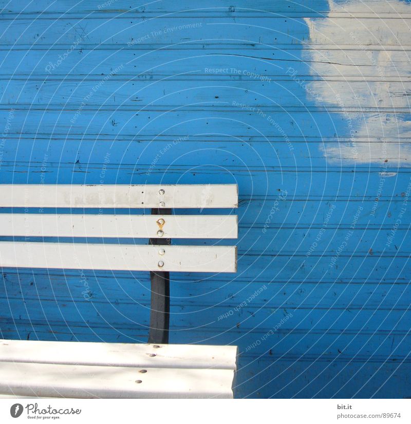 ein schöner fleck auf erden... Holzwand Holzbank weiß kobaltblau Textfreiraum oben Anstrich Renovieren Sanieren Bildausschnitt Anschnitt Detailaufnahme