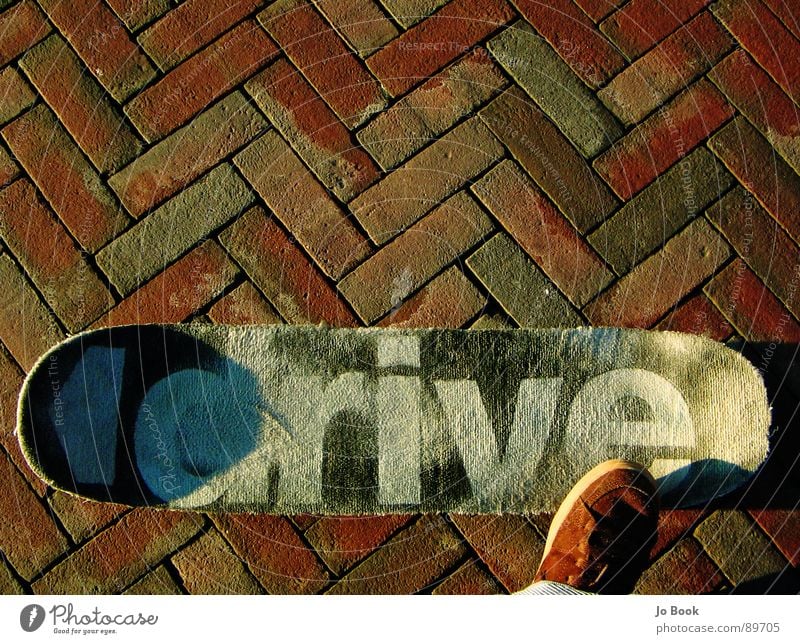 carpet skateboard Skateboarding Schuhe braun Bürgersteig Sonnenlicht fahren Lifestyle Teppich Sport Spielen shoe stone Kopfsteinpflaster drive Rolle fliegen