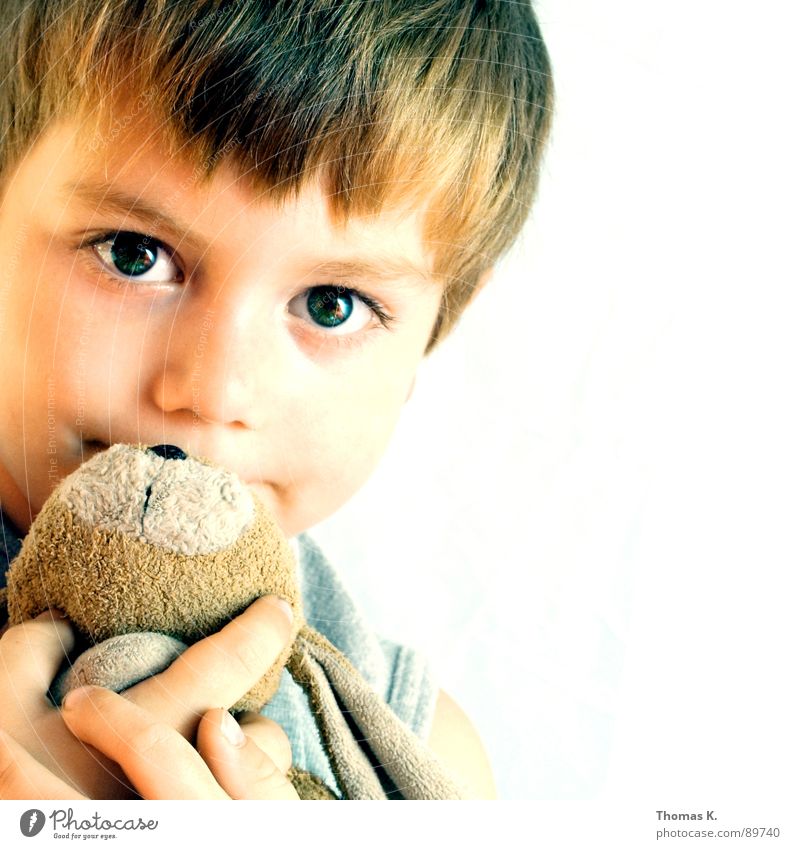 Freunde fürs Leben. Glück Spielen Kinderspiel Kindererziehung Kindergarten Kleinkind Junge Auge 3-8 Jahre Kindheit Spielzeug Teddybär Stofftiere berühren Küssen