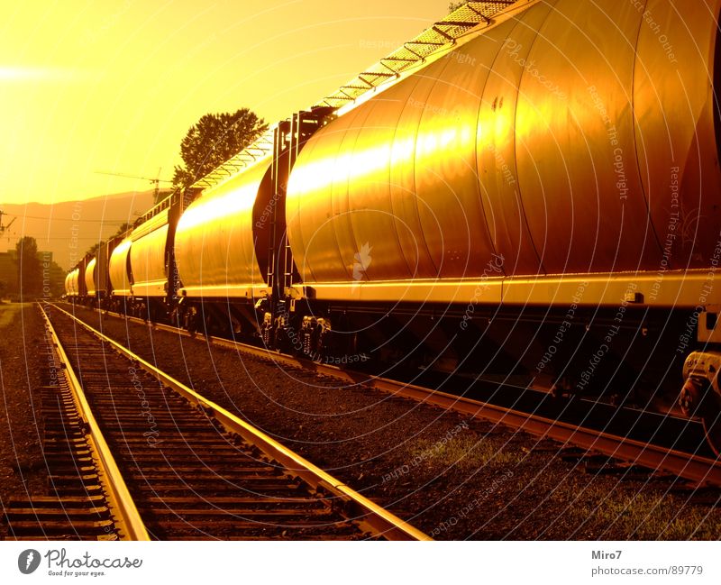 Lange Reise Eisenbahn Gleise Kanada Sonne Güterzug Güterverkehr & Logistik Eisenbahnwaggon Zentralperspektive Sonnenlicht Warmes Licht Warme Farbe lang