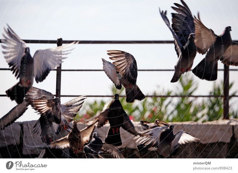 Away. Kunst ästhetisch fliegen fliegend Taube Taubenschlag taubenblau Flügel Flucht aufsteigen Vogel Eile Panik Abheben Farbfoto Gedeckte Farben Außenaufnahme