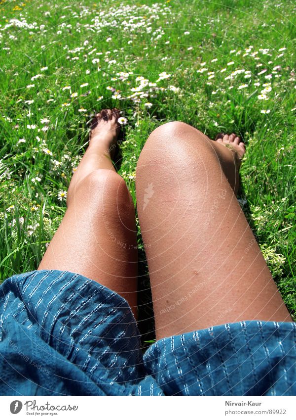 grasbein Gras Barfuß Wiese Gänseblümchen Knie Oberschenkel Frühling Beine Haut