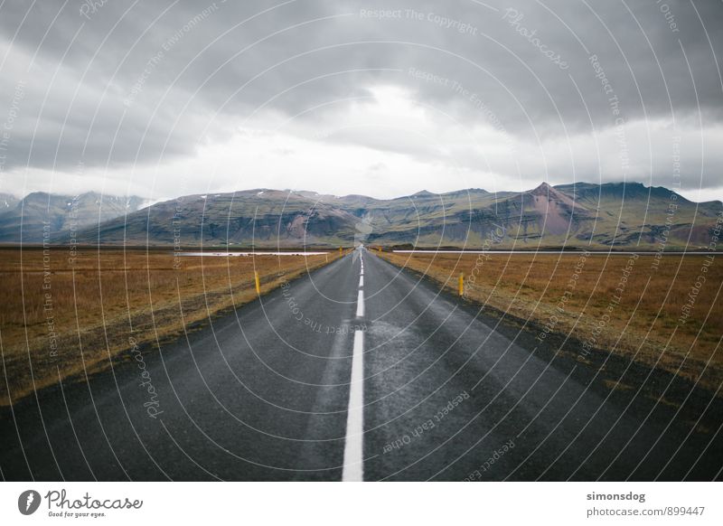 I'm in Iceland. Landschaft Wolken Horizont Herbst Berge u. Gebirge Verkehrswege Straße Verkehrszeichen Verkehrsschild fahren Freiheit Idylle