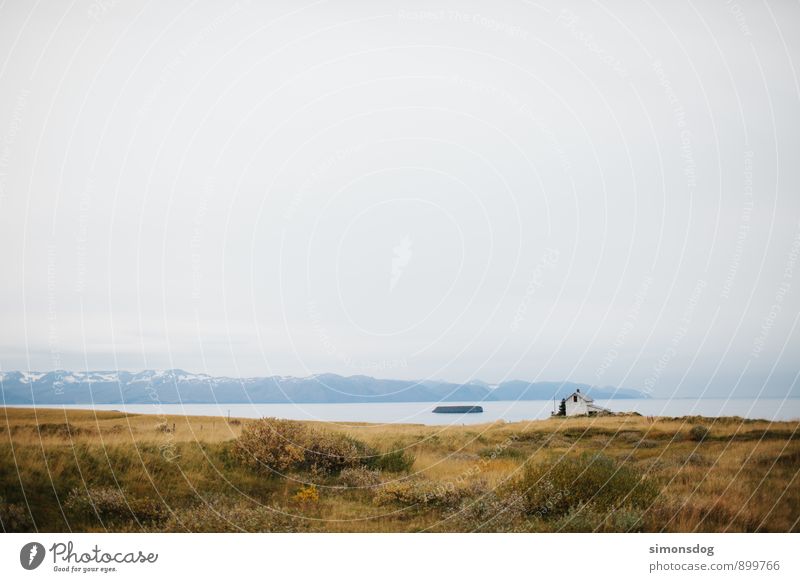 I'm in Iceland. Landschaft Pflanze Gras Sträucher Berge u. Gebirge Gipfel Freiheit Ferien & Urlaub & Reisen Haus Fjord Island Dürre Wolken Ferne
