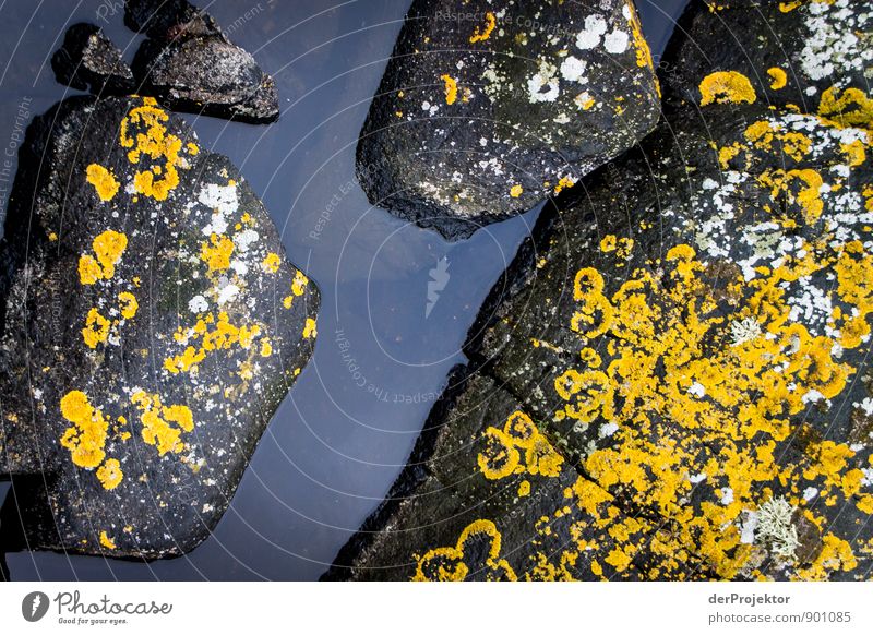 Luftbild Schären-Steine Umwelt Natur Landschaft Pflanze Urelemente Sommer schlechtes Wetter Felsen Küste Bucht Fjord Ostsee Meer gelb schwarz weiß Gefühle