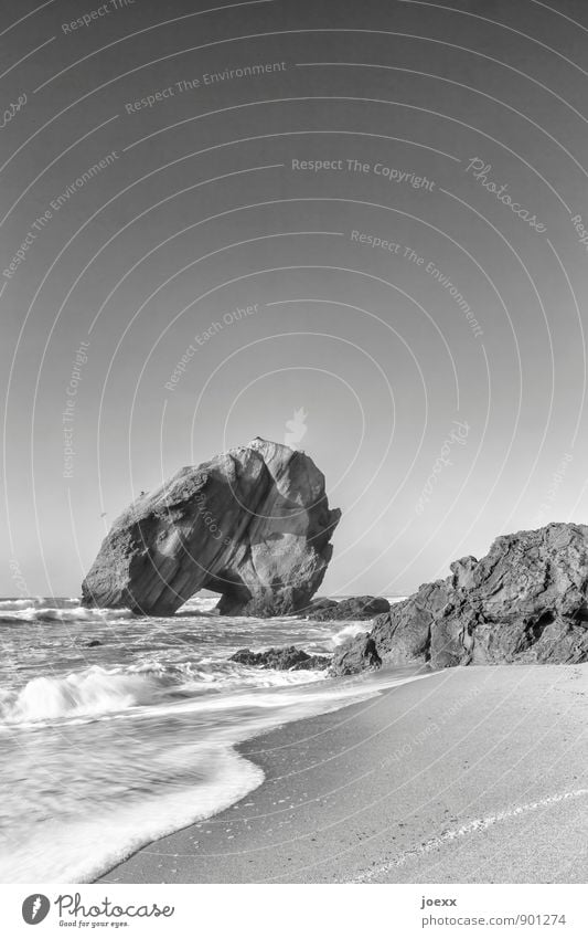 Santa Cruz Natur Landschaft Wasser Wolkenloser Himmel Horizont Schönes Wetter Wellen Küste Strand Felsen groß schön schwarz weiß bizarr schroff Schwarzweißfoto
