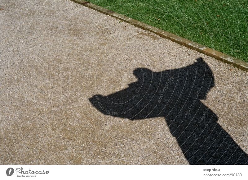 Engel Dresden Statue Schatten Mensch Wege & Pfade Sonne