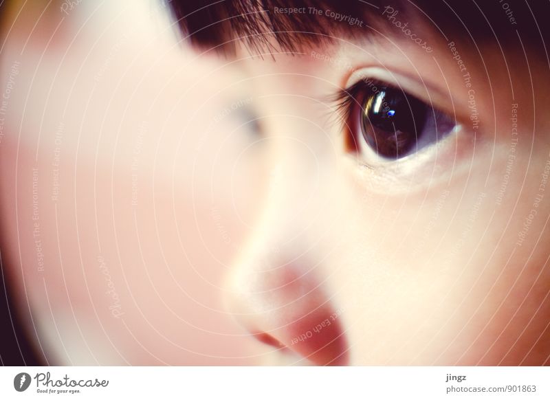 Iris Kleinkind Auge 1 Mensch 3-8 Jahre Kind Kindheit beobachten leuchten nah ruhig Mittelpunkt Konzentration Reflexion & Spiegelung Blick weich Brennpunkt