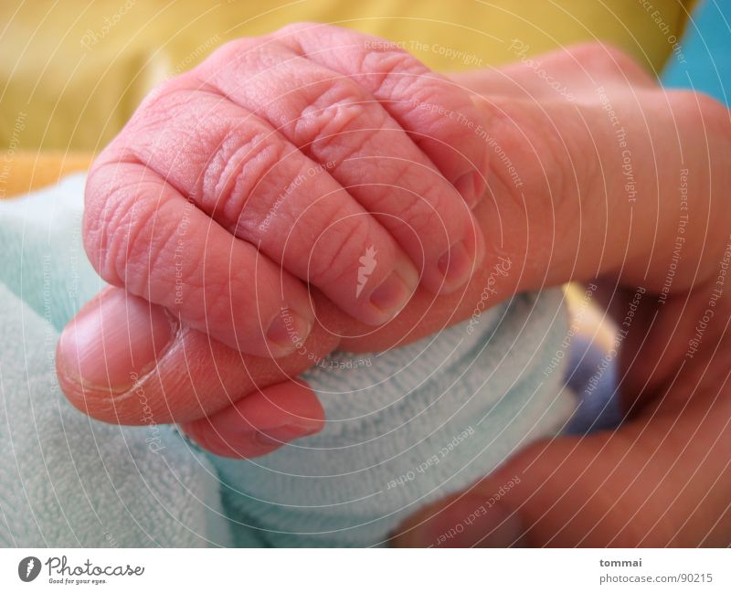 Fünf Finger Kind Baby rosa Vater Daumen Hand Gesellschaft (Soziologie) Geburt Kleinkind Mutter Zeigfinger blau Detailaufnahme Liebe Glück Mann