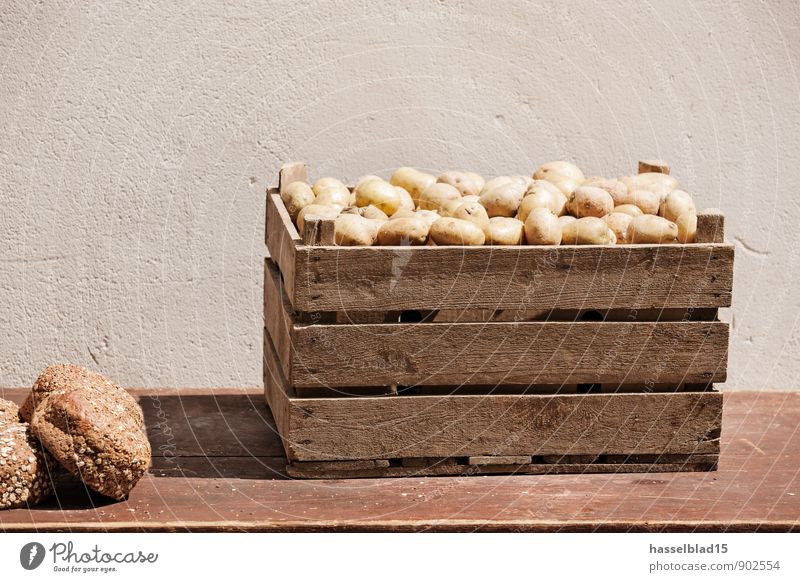 Kluger Bauer Lebensmittel Brot Kartoffeln Ernährung Bioprodukte Vegetarische Ernährung Lifestyle kaufen Reichtum Freude Glück sparen Gesundheit