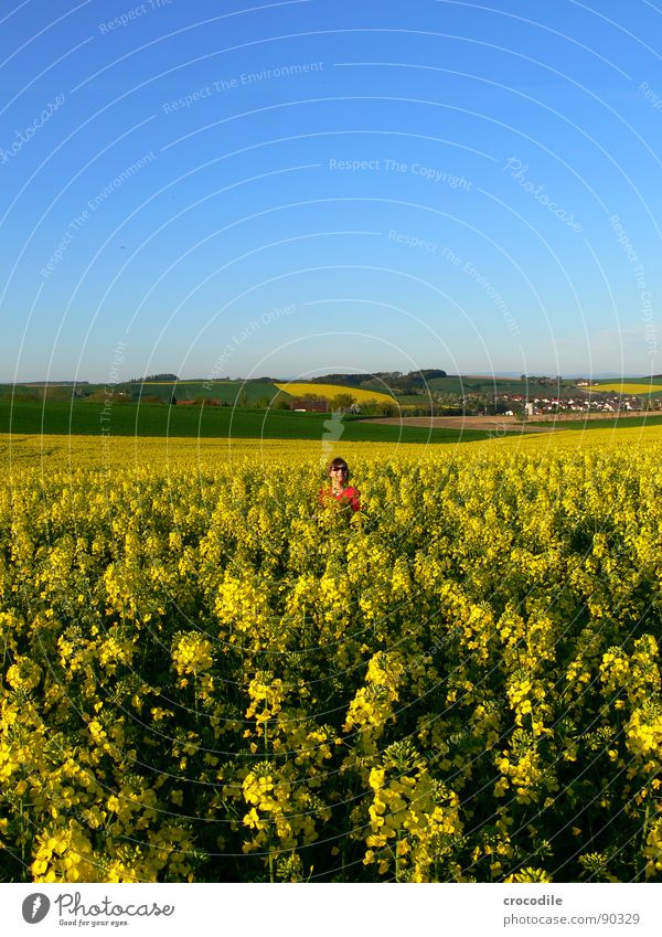 Yellow love Freizeit & Hobby stehen grinsen klein süß Frau Sonnenbrille Raps Feld Frühling Diesel Kohlendioxid Klimawandel gelb Streifen Stengel Sauerstoff