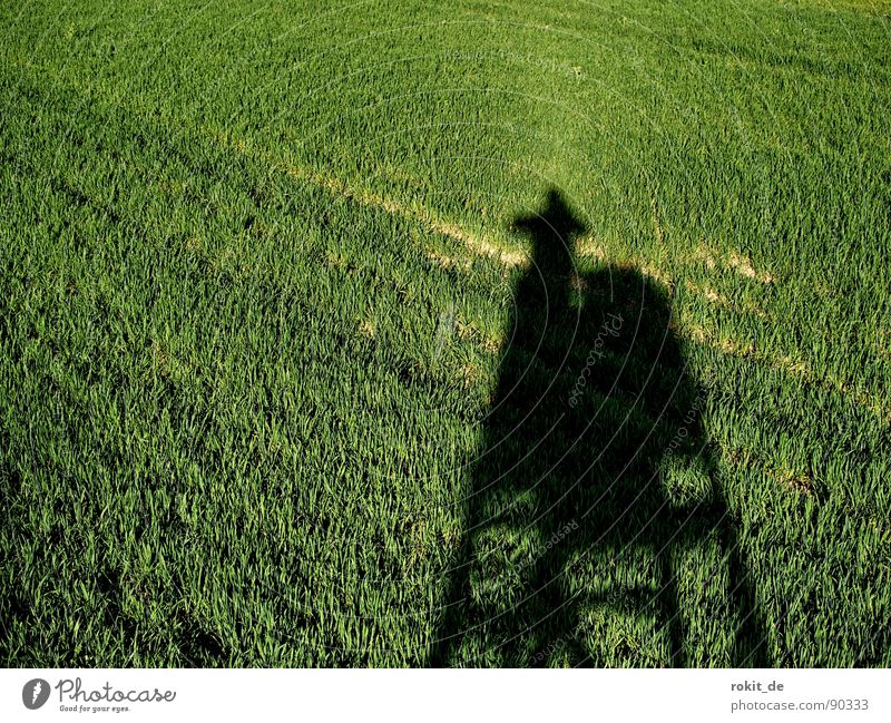 Fotojäger auf der Pirsch Feld Hochsitz Jäger Fotograf hervorrufen zielen schießen grün Holz Fotografieren Schatten anschleichen scharf stellen Klettern hoch