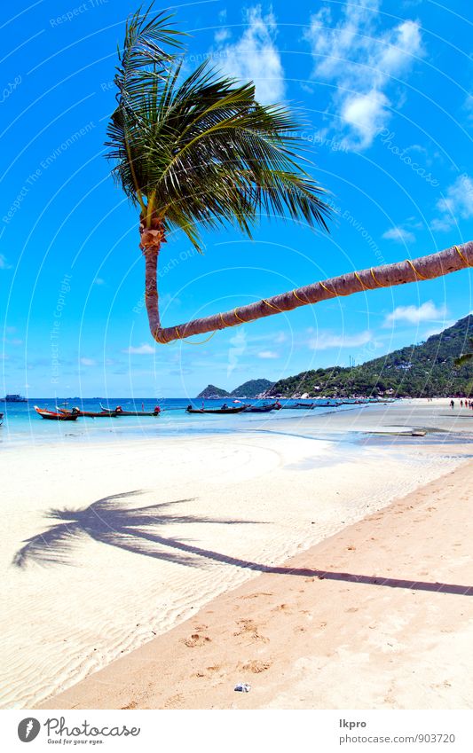 asiatische Insel Strand Felsen Piroge Palme und Südchina Meer Lifestyle exotisch Erholung Ferien & Urlaub & Reisen Tourismus Ausflug Freiheit Sommer Wellen